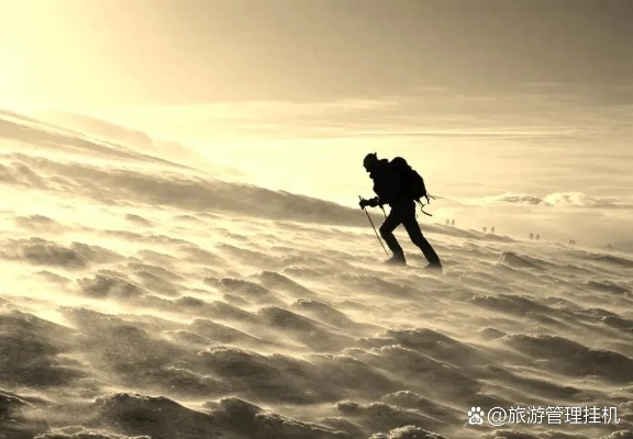 (处于风口浪尖)在风口浪尖上，如何应对成为众矢之的的困境与挑战